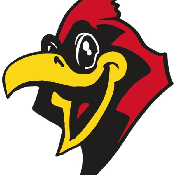 AR CARDINAL 36 RC Thumbnail