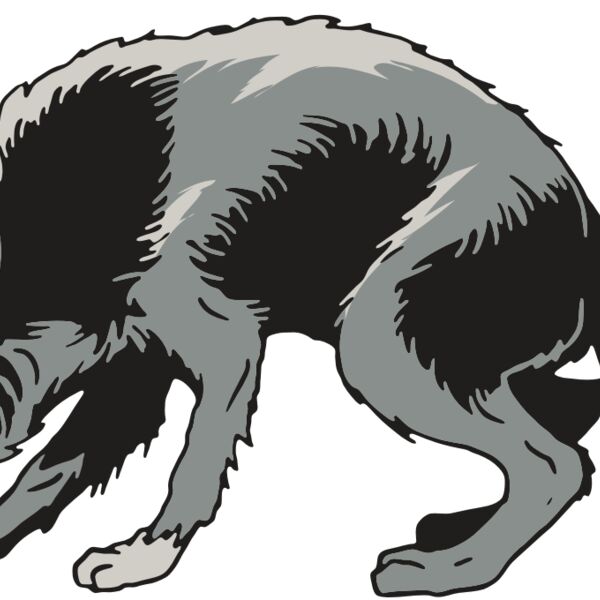 AR32 COYOTE 05 RQC Thumbnail