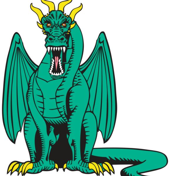 BAW DRAGON 10 RC Thumbnail