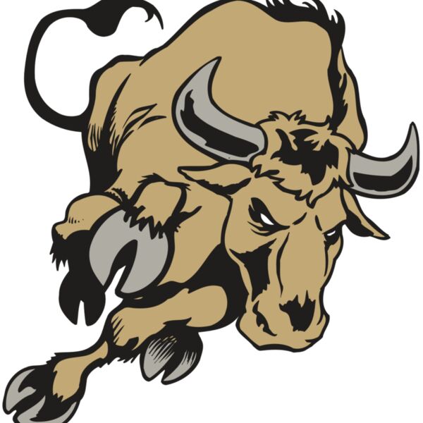 AR BULL 51 RC Thumbnail