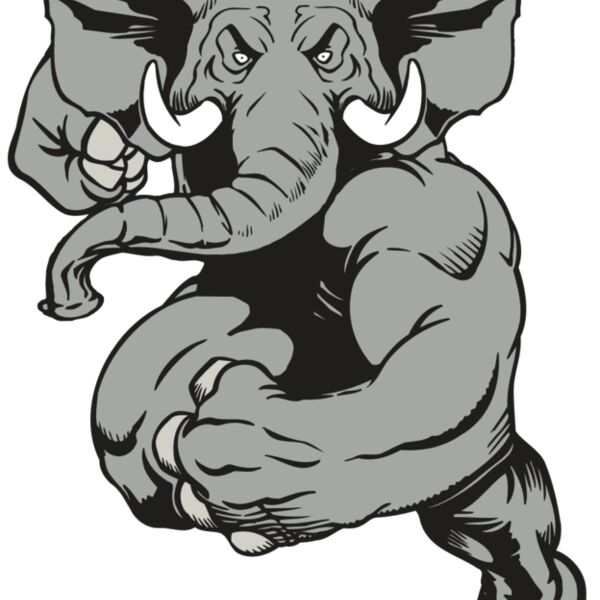 AR ELEPH 18 RC Thumbnail