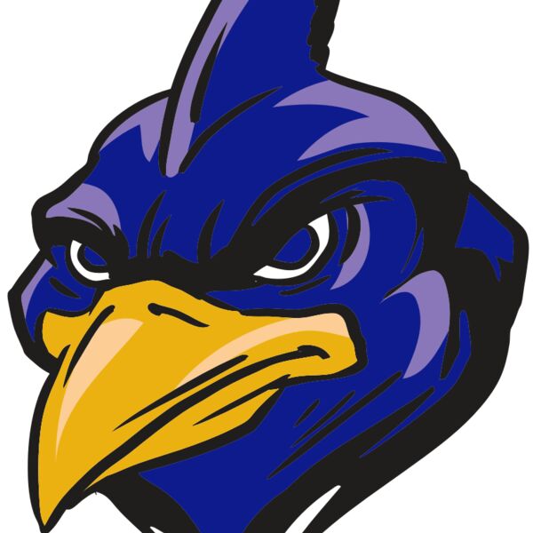 AR13 BLUEJAY 01 RQC Thumbnail