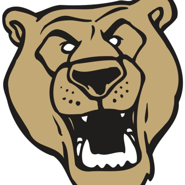 AR BEAR 13 RC Thumbnail