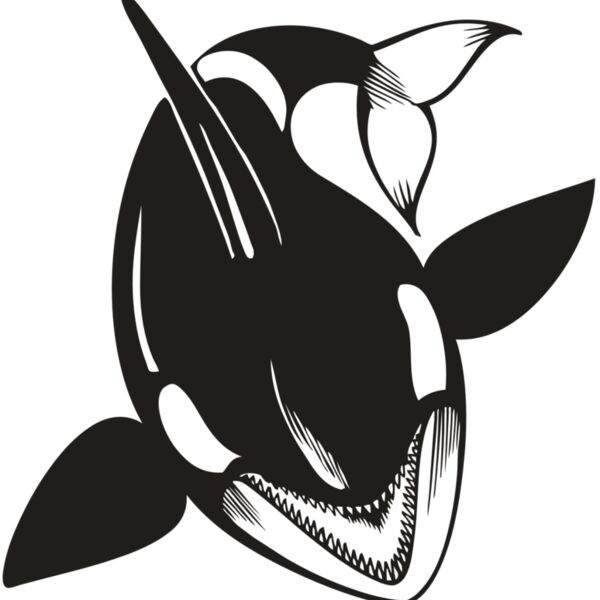 BAW KLRWHALE 01 RC Thumbnail