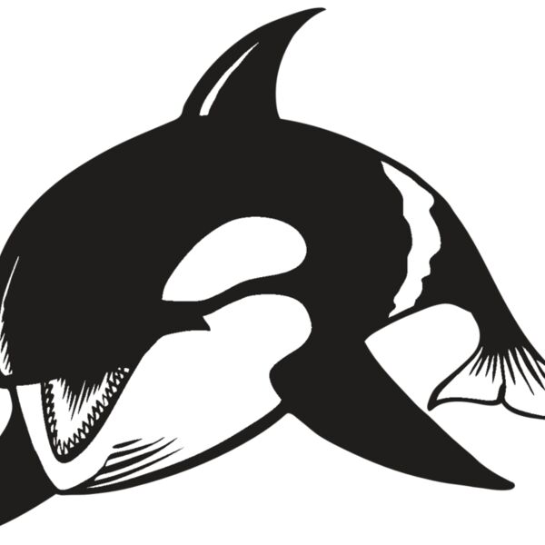 BAW KLRWHALE 04 RC Thumbnail