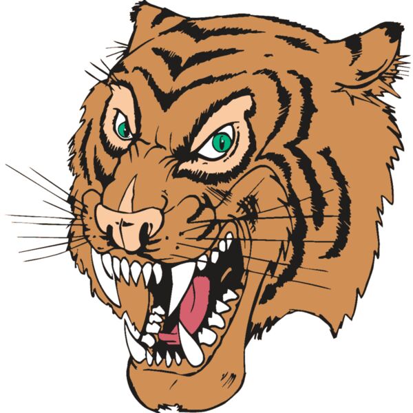 AR TIGER 49 RC Thumbnail