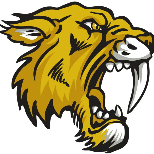 AR30 SABER 03 RQC Thumbnail